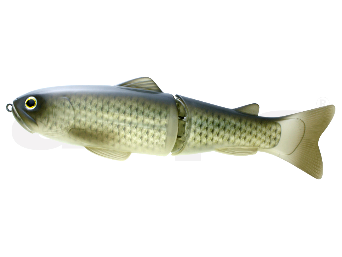 Deps SLIDESWIMMER 250 #13 Wild Carp | UK