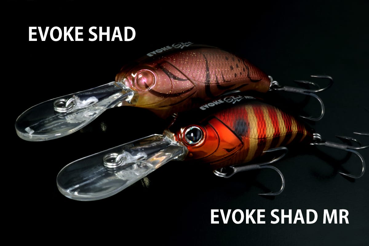 EVOKE SHAD | deps OFFICIAL HP | デプス 公式HP