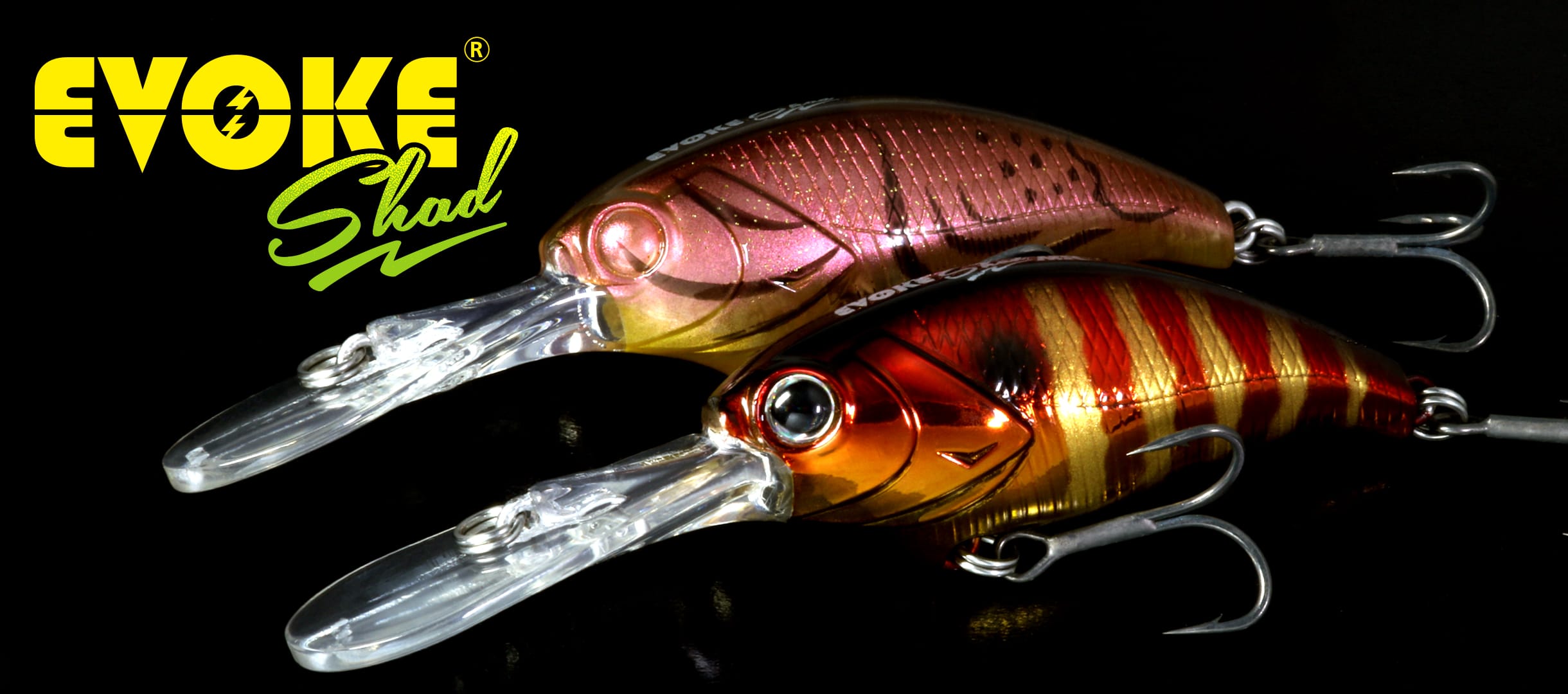 流行り の ブランド  キムケン的「魚に見せない」ルアーセレクト 釣りの総合動画 | ルアー・フライ