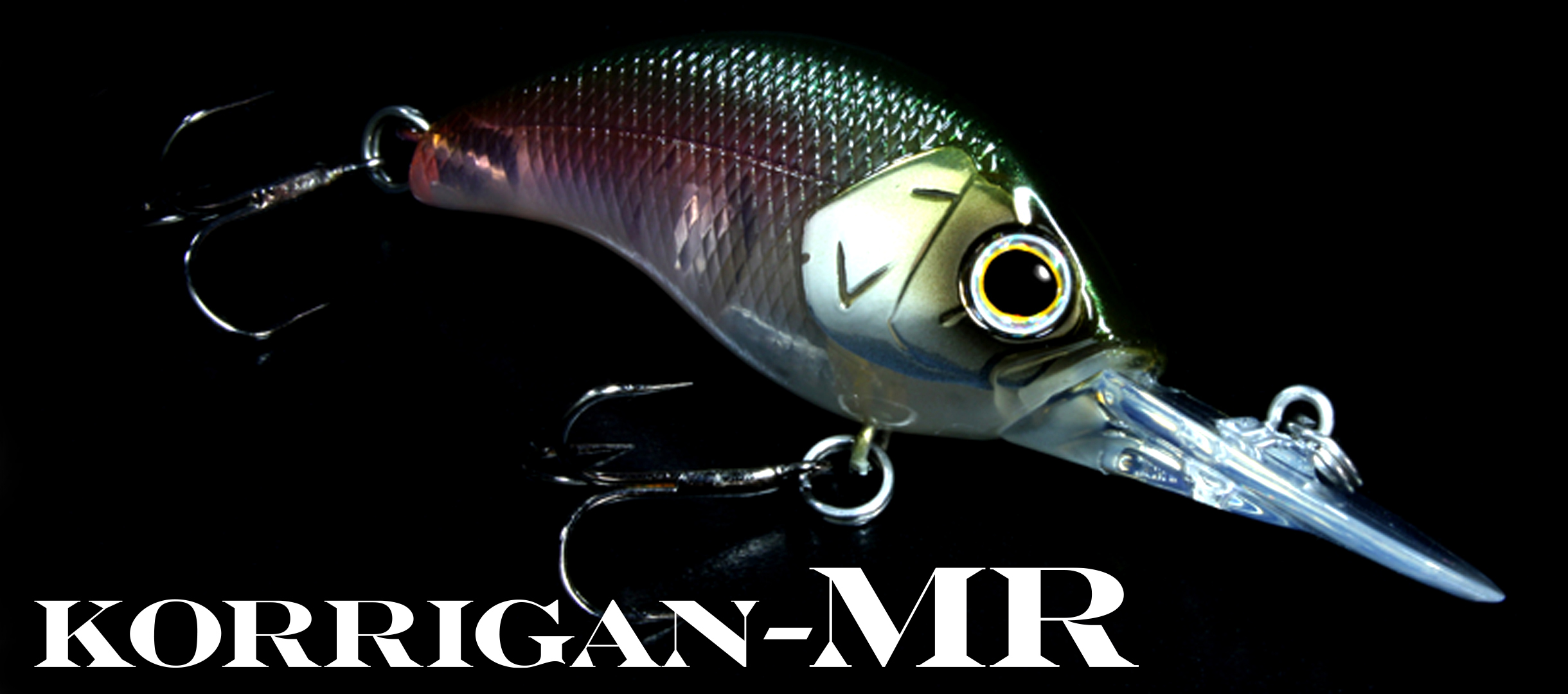 KORRIGAN MR | deps OFFICIAL HP | デプス 公式HP