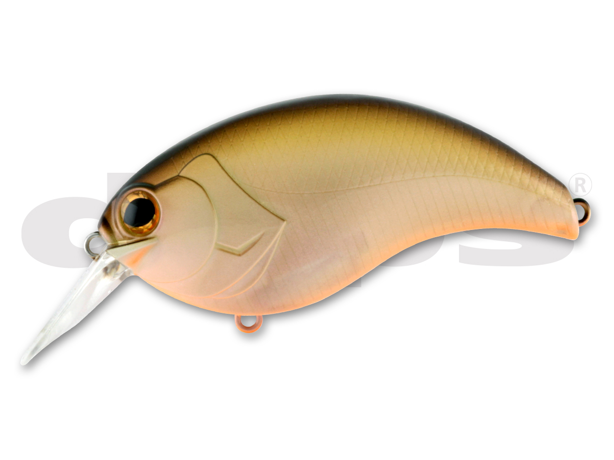 Evoke Deps Official Hp デプス 公式hp