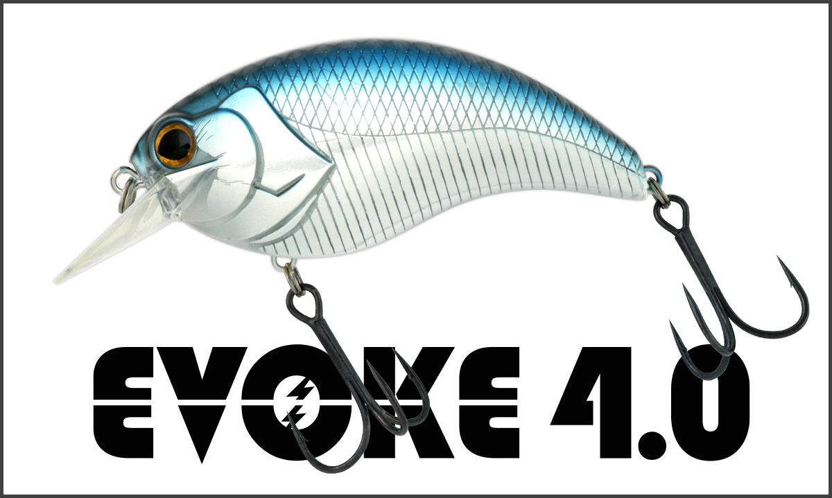 deps EVOKE4.0 3個セット　新品未使用