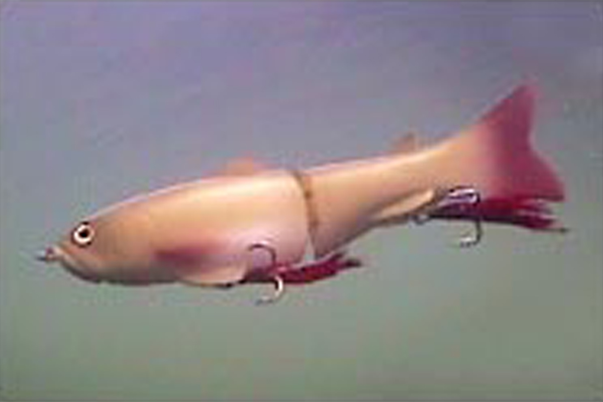 SILENTKILLER250/SLIDSWIMMER250 | deps OFFICIAL HP | デプス 公式HP