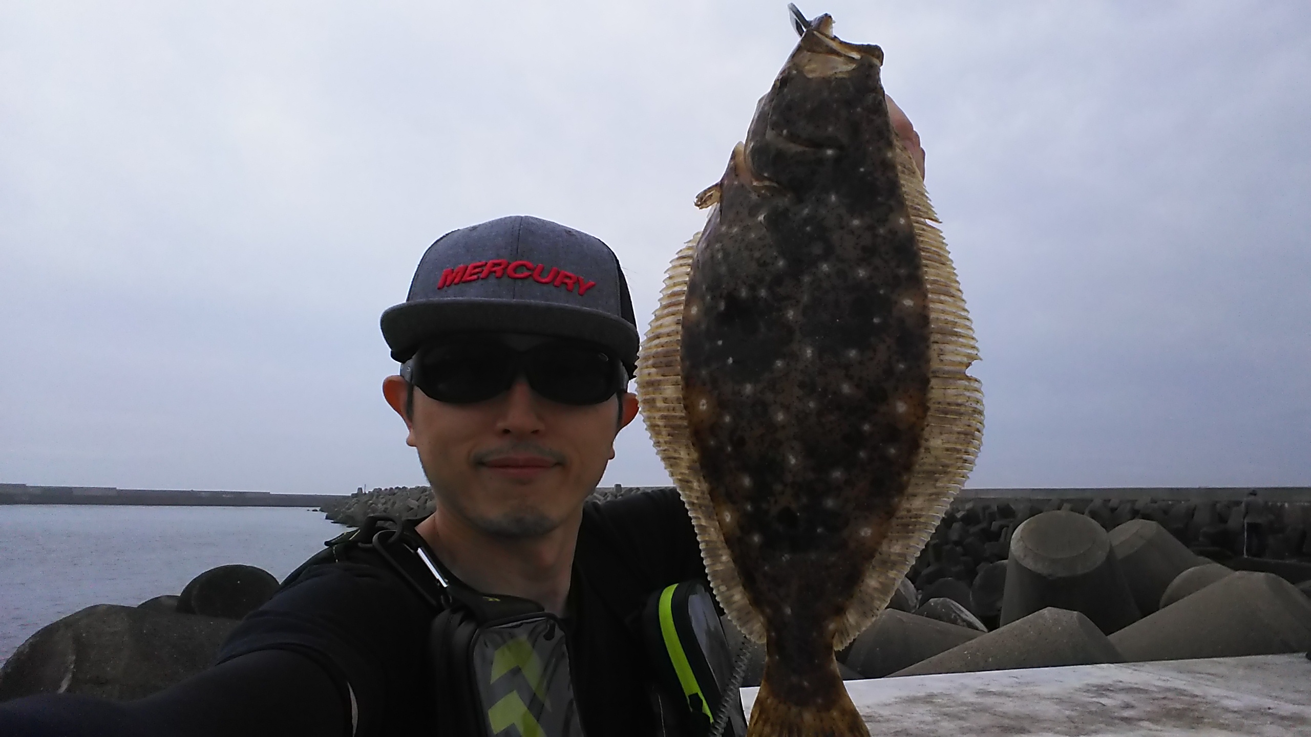 ヒラメ 魚種 Deps Official Hp デプス 公式hp ヒラメ 魚種 Deps Official Hp デプス 公式hp