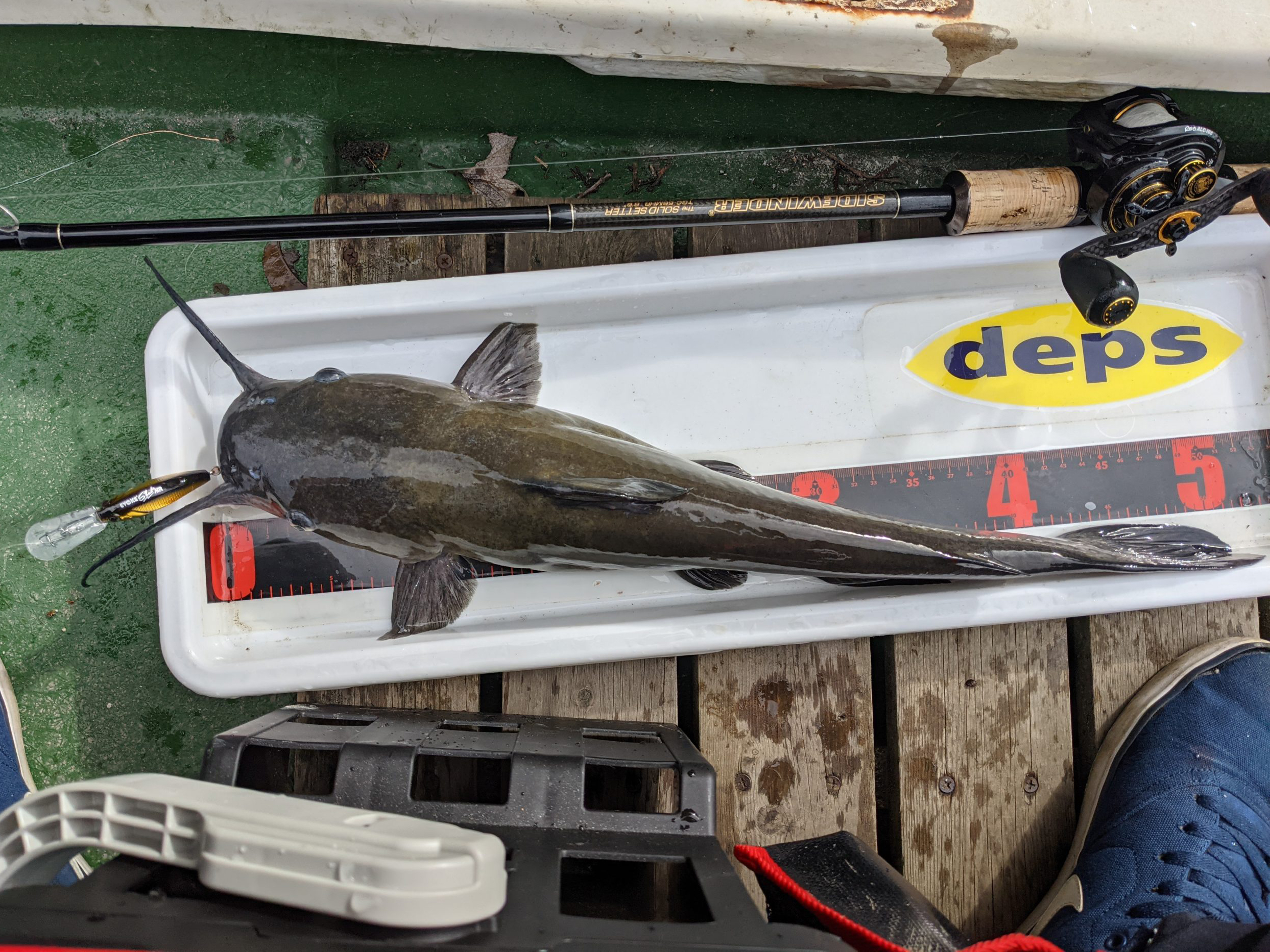 ナマズ 魚種 Deps Official Hp デプス 公式hp ナマズ 魚種 Deps Official Hp デプス 公式hp