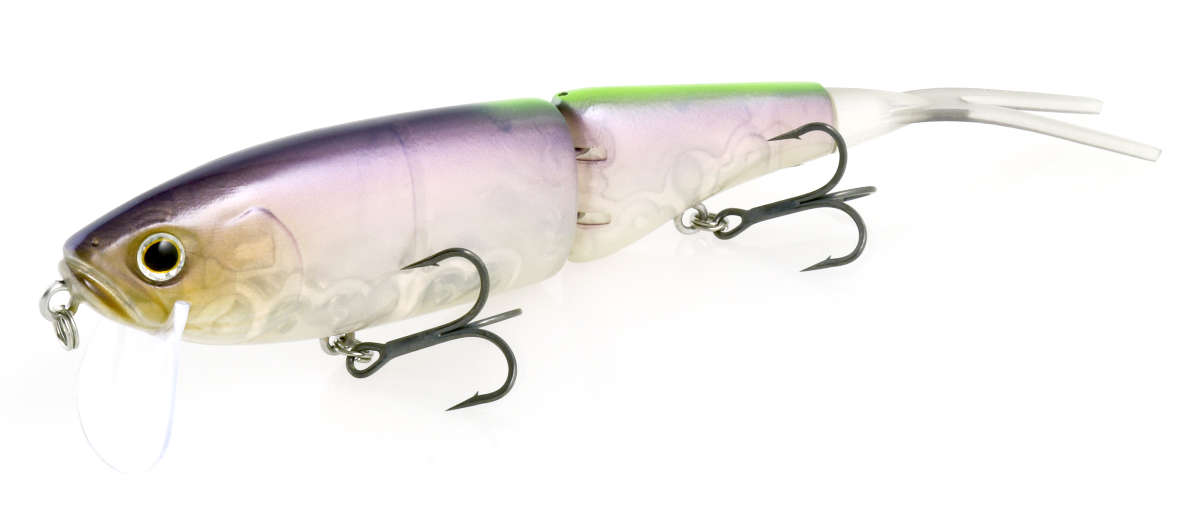 入会特典 Deps Official Hp デプス 公式hp 入会特典 Deps Official Hp デプス 公式hp