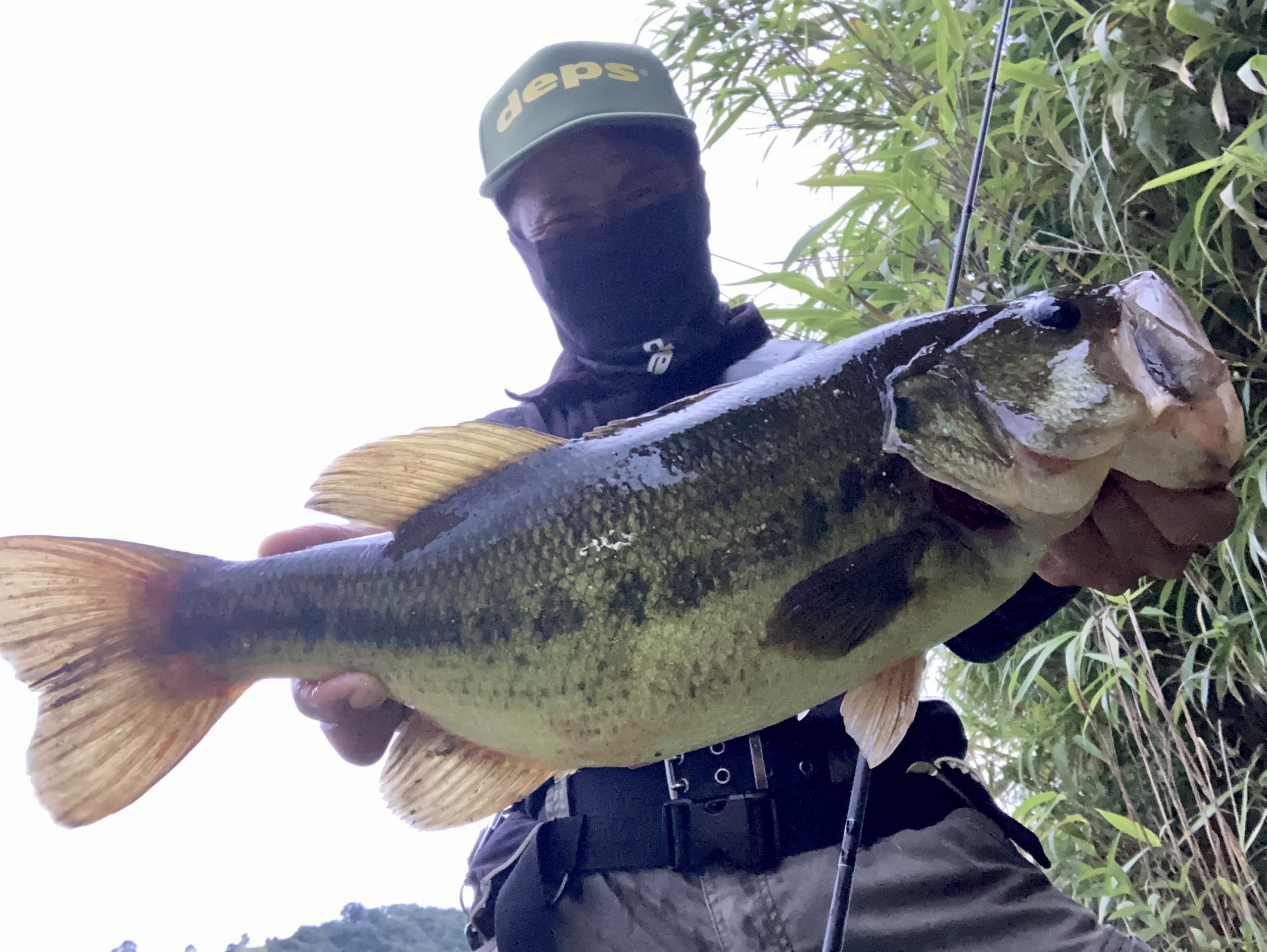 Style Of Deps deps OFFICIAL HP デプス 公式HP